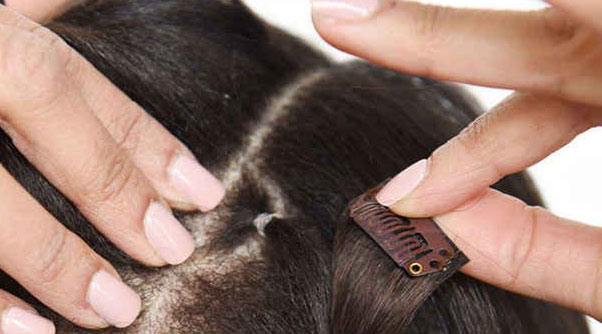 Hair Clipping Services